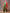 Vishudh Green Ethnic Motifs Printed Kurta with Palazzo & Dupatta