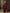 Anouk Burgundy & Gold-Toned Zari Pure Georgette Kanjeevaram Saree - Distacart