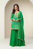 Anaita Green Chinon Stitched Suit with Digital Print & Embroidery Coding Sequence Work - Distacart
