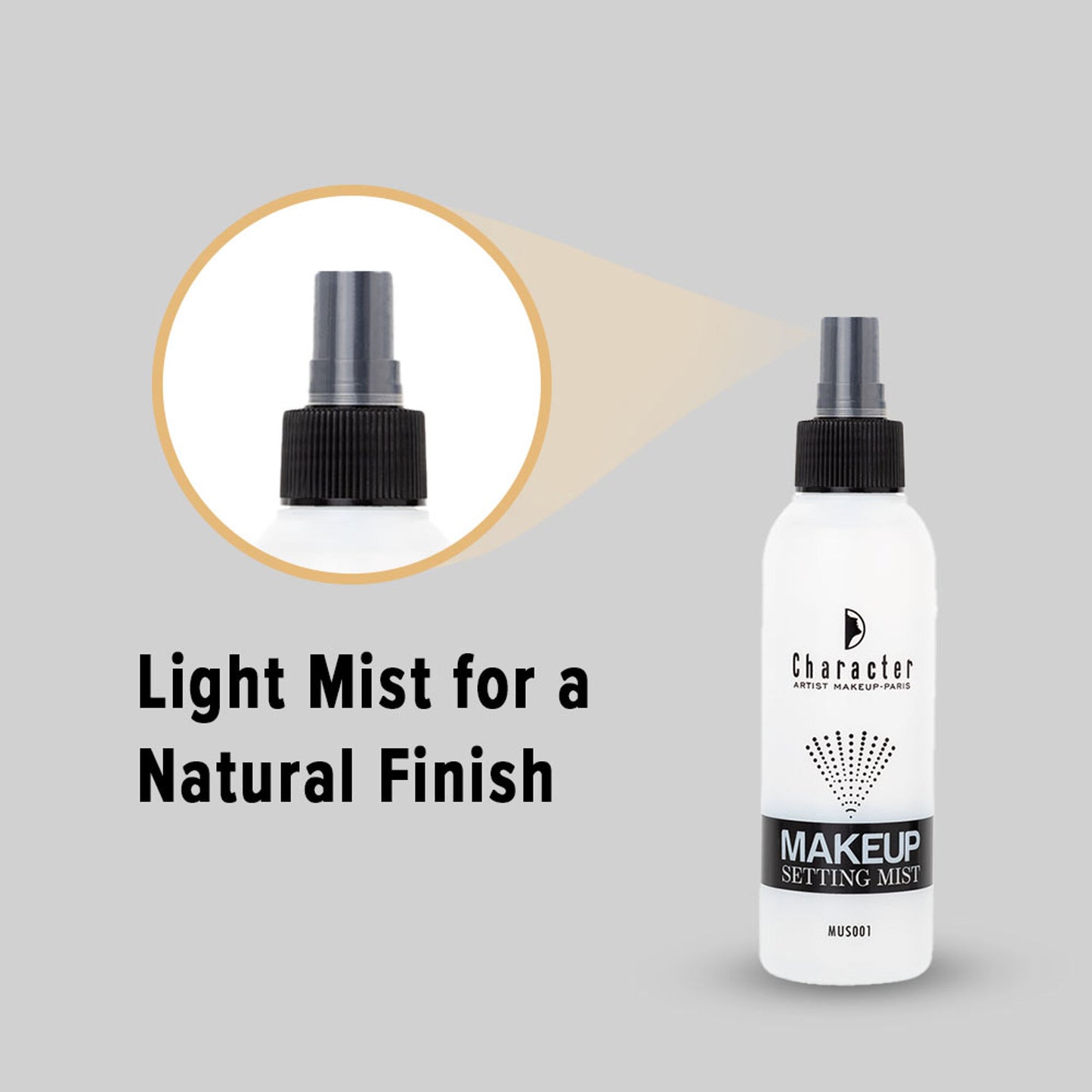 Character Makeup Setting Mist - Distacart