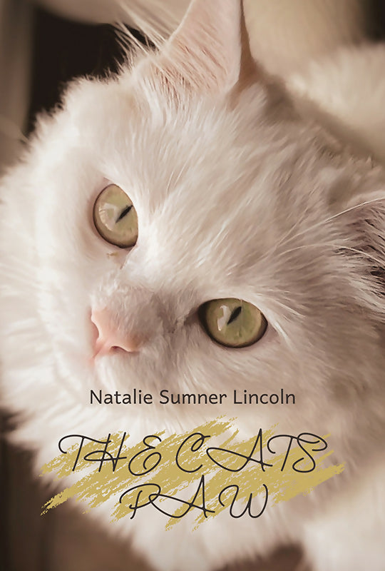 The Cat’s Paw - Natalie Sumner Lincoln