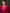 Sangria Embroidered Kurta & Trouser With Dupatta