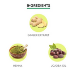 Thumbnail for Jovees Mehandi/Henna Powder Controls Hair Fall & Repairs Damaged Hair - Distacart