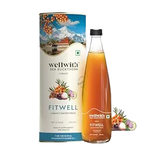 Wellwith Fitwell Juice – Himalayan Sea Buckthorn + Garcinia, Kokum & Punarnava - Distacart