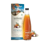 Thumbnail for Wellwith Fitwell Juice – Himalayan Sea Buckthorn + Garcinia, Kokum & Punarnava - Distacart