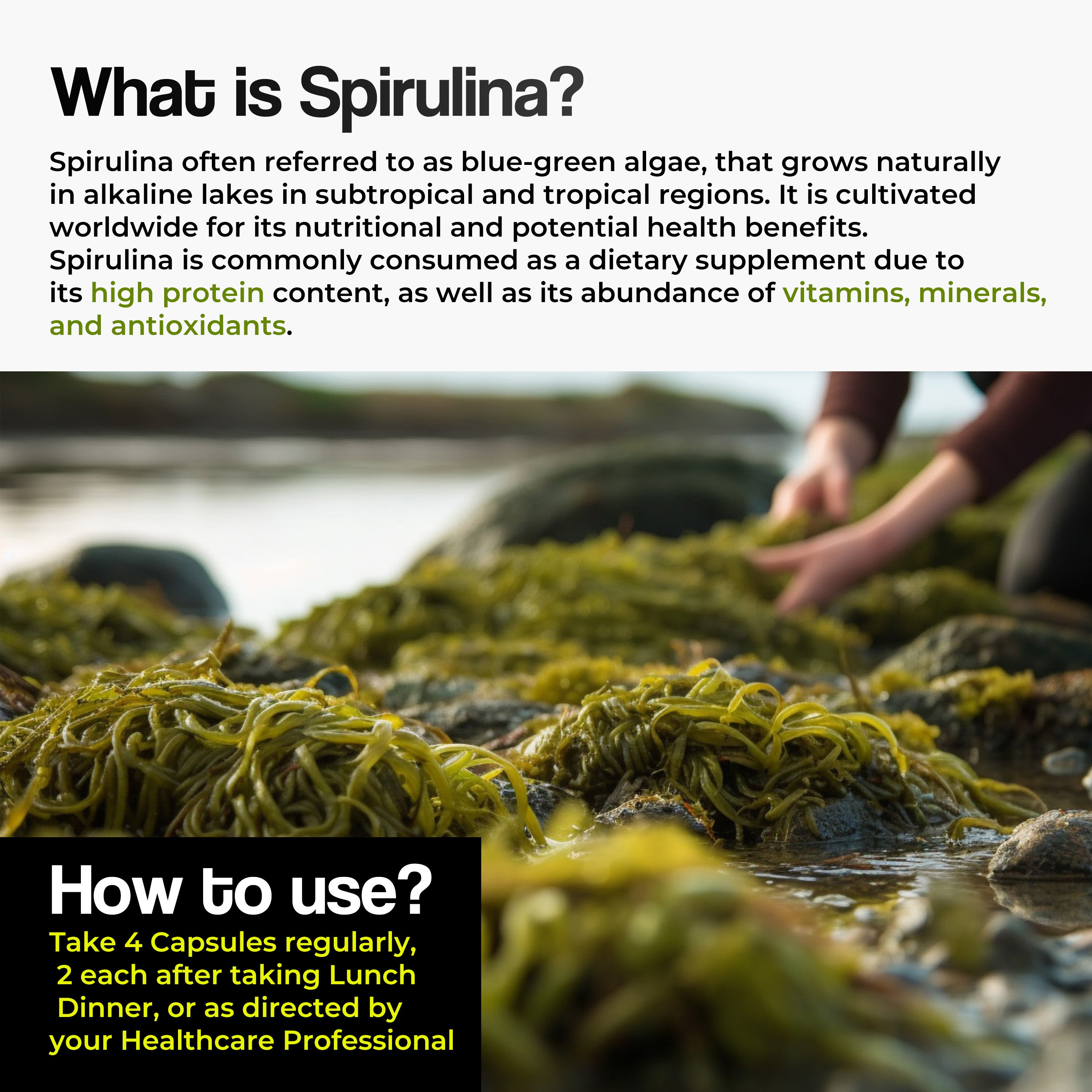 Health Veda Organics Spirulina Capsules - Distacart