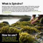 Thumbnail for Health Veda Organics Spirulina Capsules - Distacart