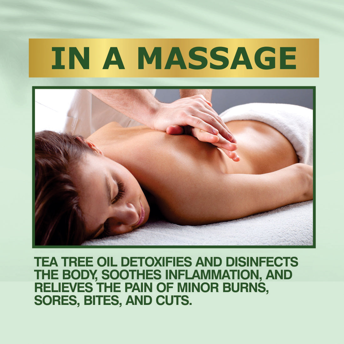 Nuerma Science Tea Tree Body Oil for Skin Cleansing & Moisturization