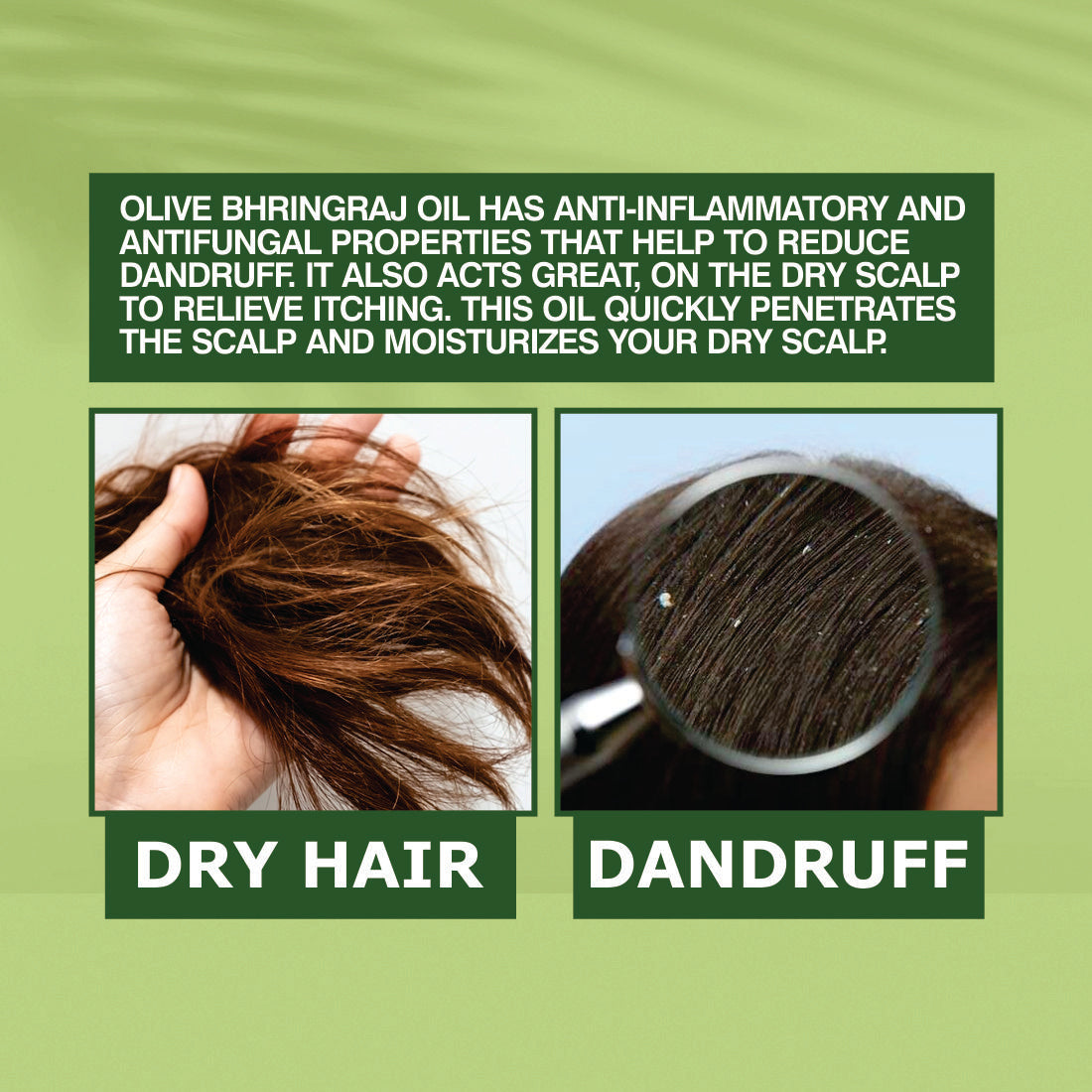 Nuerma Science Olive Bhringraj  Oil