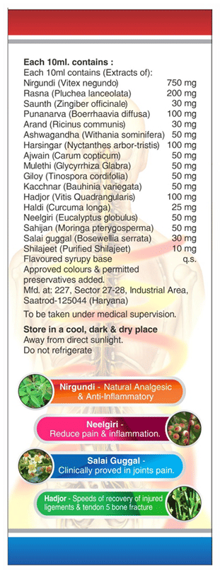 Sagius Ayugesic Syrup