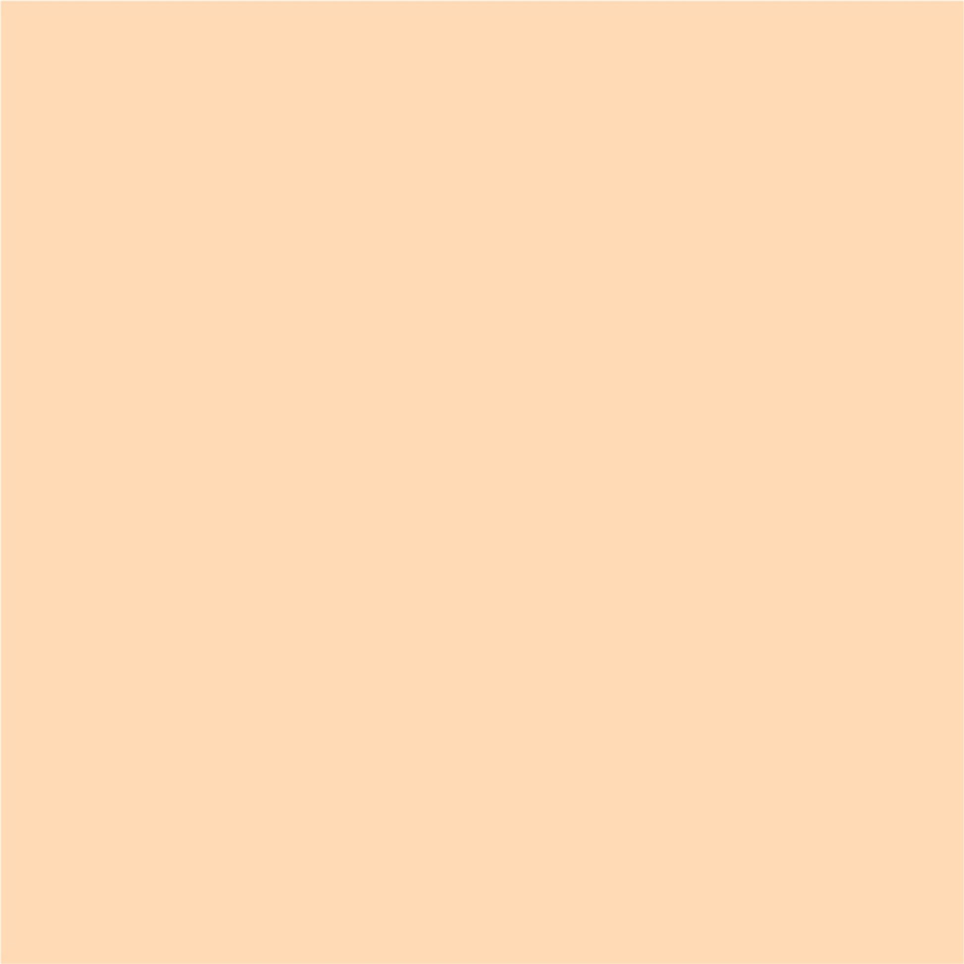 Matt Look Bare Canvas Hydra Foundation - Peach Glow - Distacart