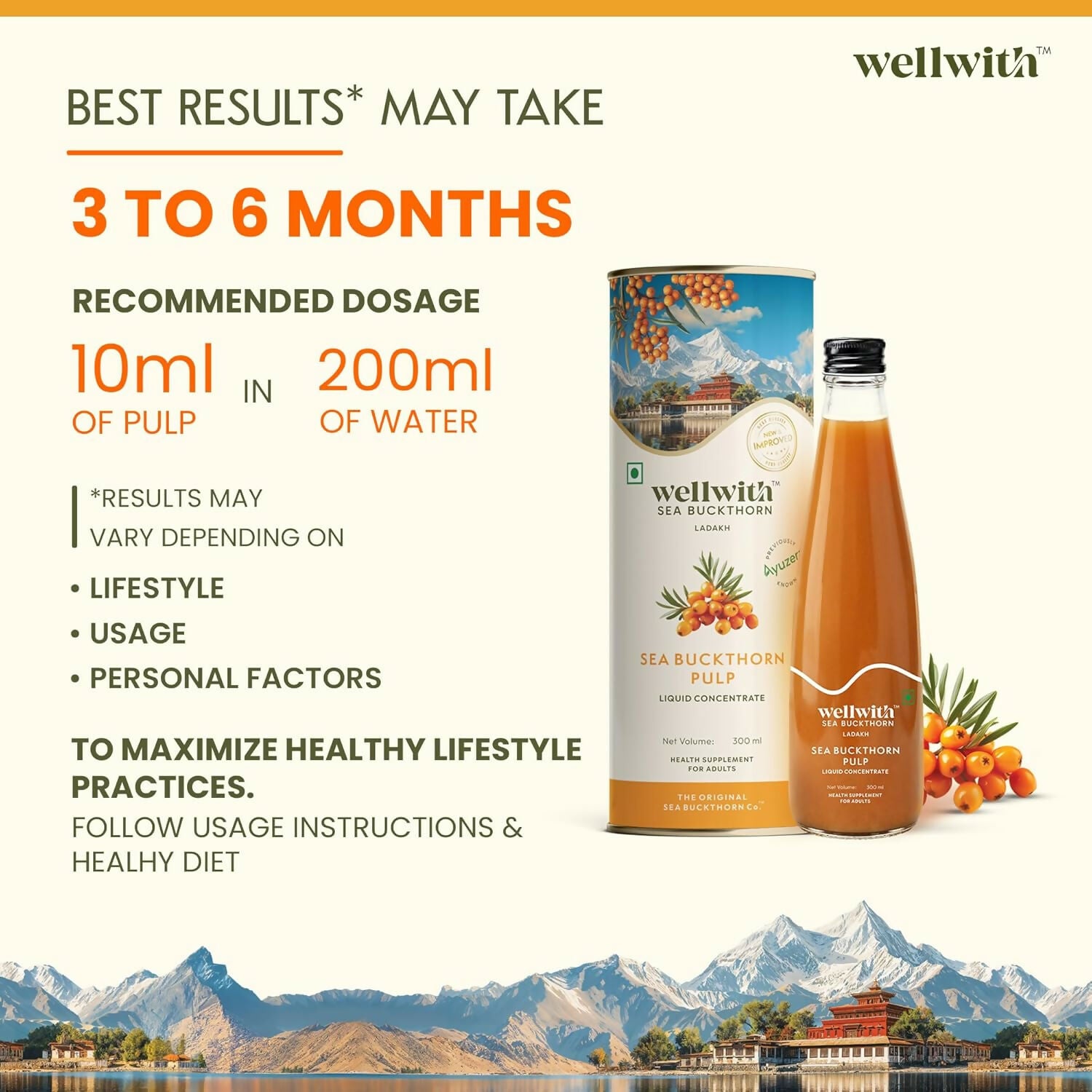 Wellwith Himalayan Sea Buckthorn Pulp - Distacart