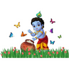 Rangoli Large Modern Art Wall Sticker Multicolour Vinyl Wall Sticker - Dista