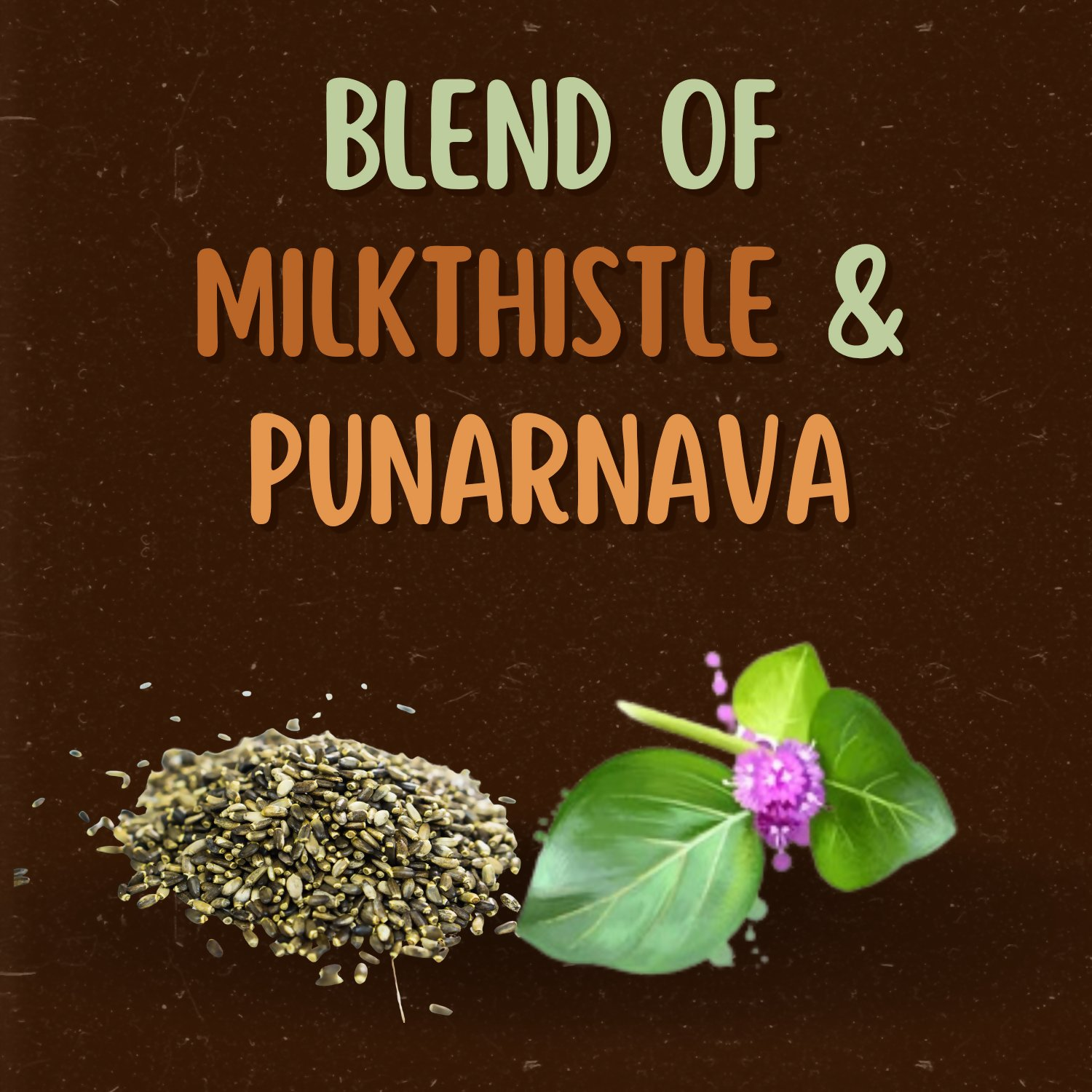 Satvi Wellness Milkthistle Punarnava Herbal Infusion Mix In Indvidual Packets | Herbal Tea Sachet - Dista