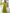 Kalini Floral Embroidered Regular Kurti with Palazzos & With Dupatta - Distacart