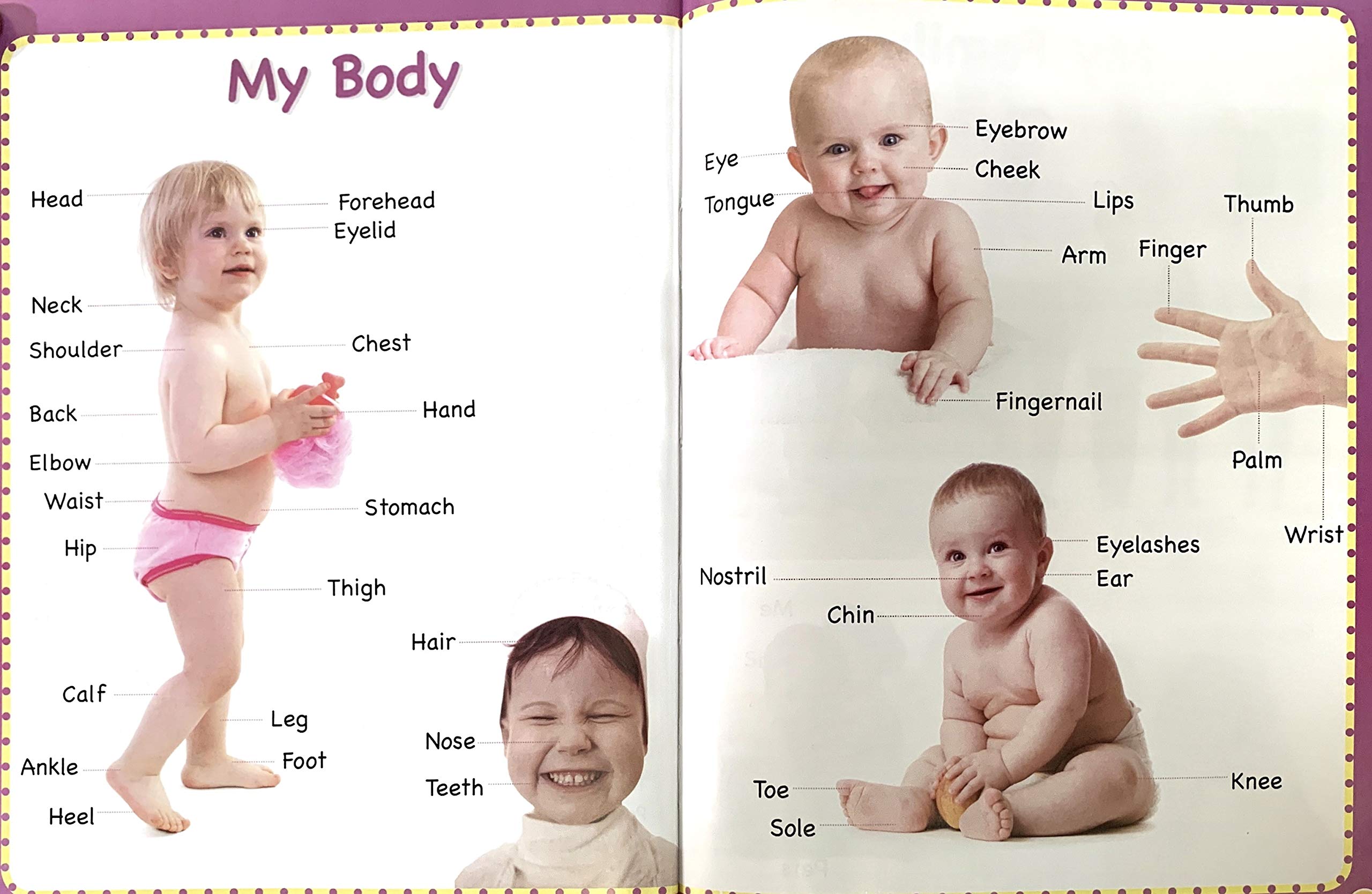 My First 1000 Words Board Book - Dista