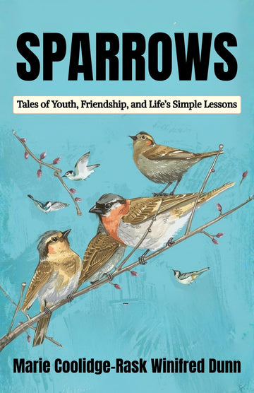 Sparrows: Tales of Youth, Friendship, and Life’s Simple Lessons - Distacart