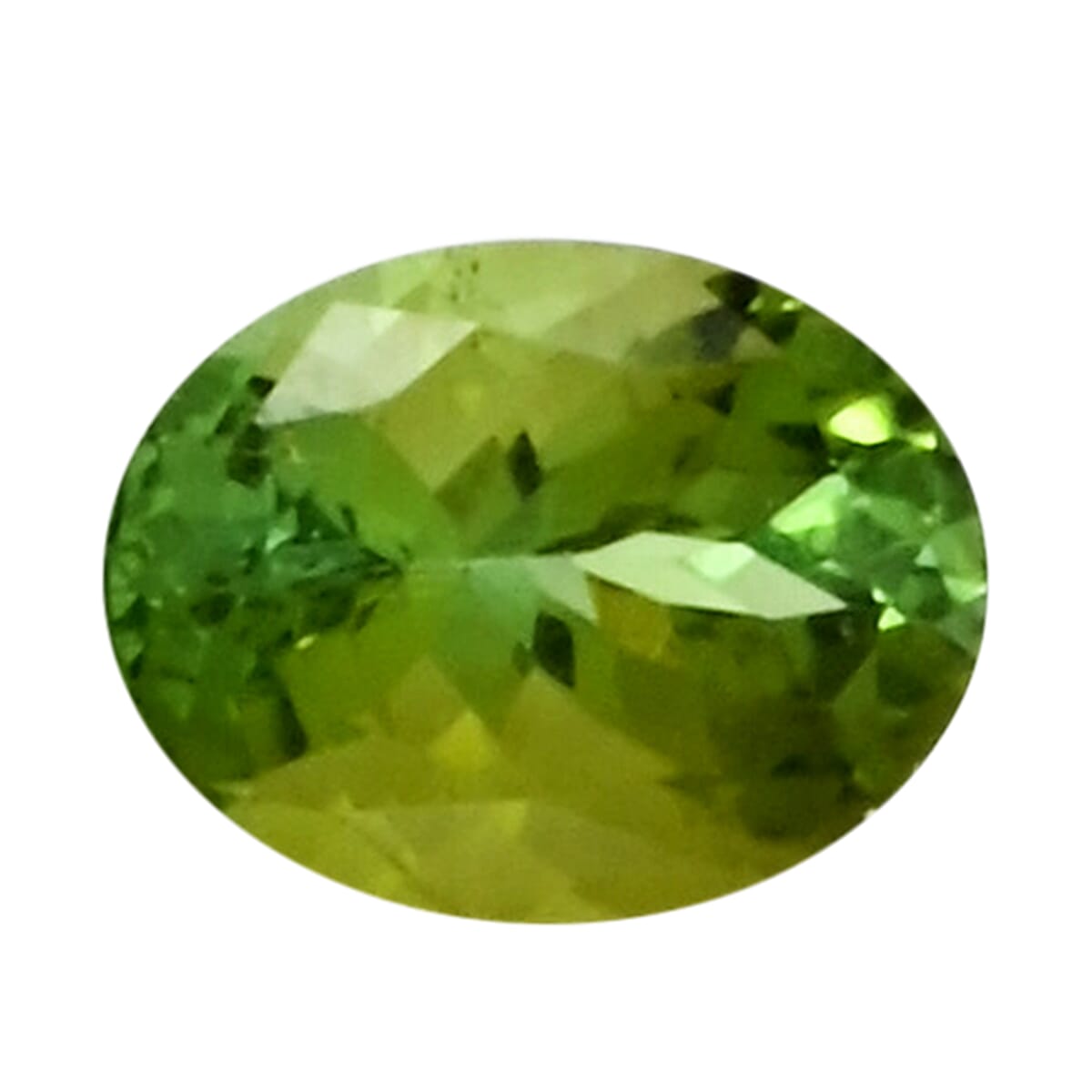 Astrolucrum AAAA Sapo Tourmaline (Ovl Free Size) 1.00 ctw