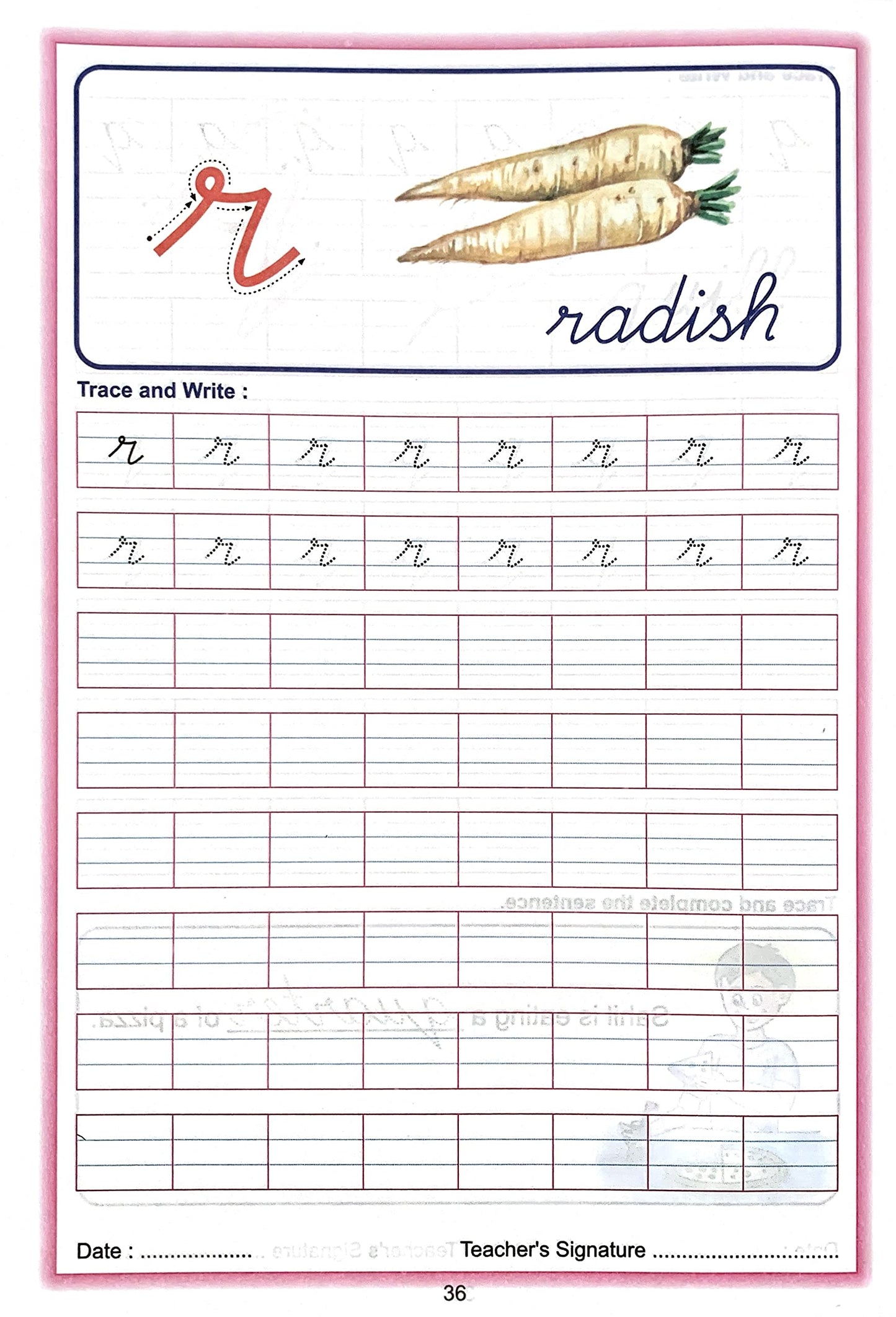 Scholars Hub Cursive Writing Book (Practice)- Alphabet Cursive Writing. (Capital) & Alphabet Cursive Writing. (Small) (Set Of 2 Books) ( Ages 3-6) | 112 Pages - Dista