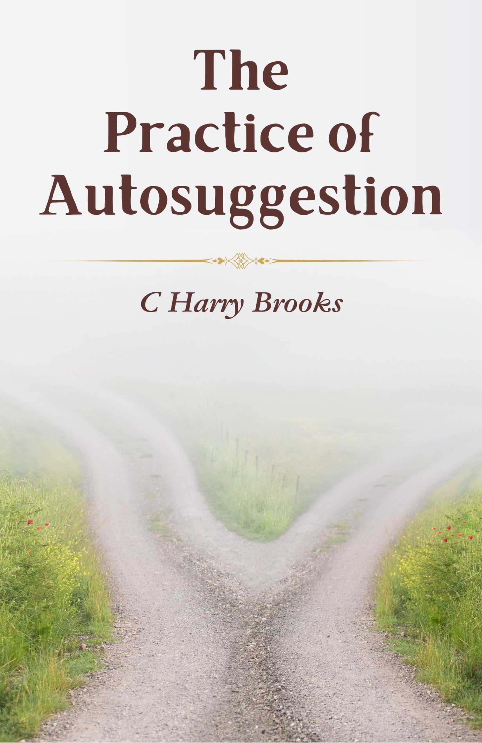 The Practice of Autosuggestion - Distacart