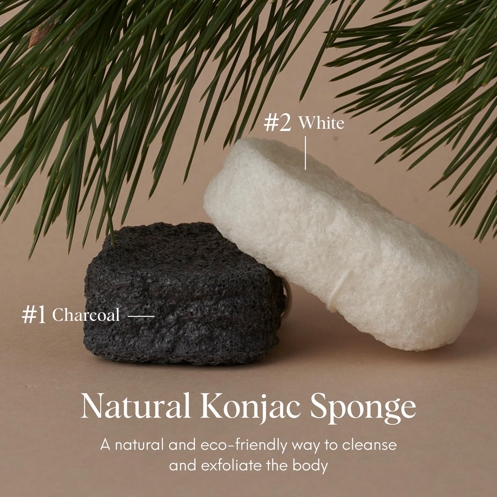 ILEM JAPAN Natural Konjac Body Sponge - Soft White Sponge for All Skin, Exfoliating, Gentle Japanese Skincare Tool for Bath & Shower | For Men & Women | Help Reduction of Fine lines & Wrinkles
