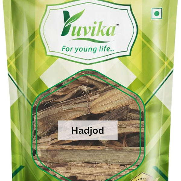 Yuvika Hadjod - Cissus Quadrangularis