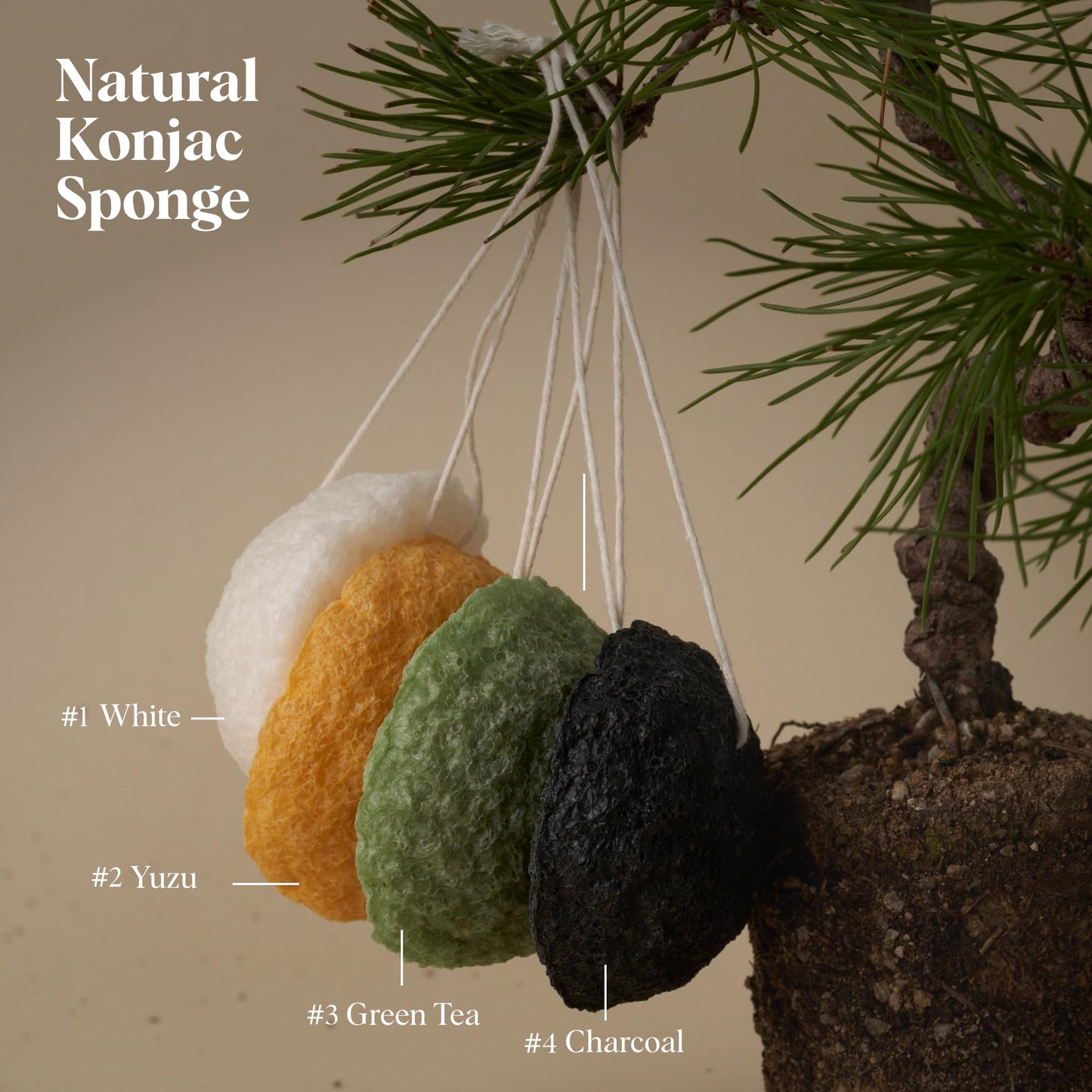 ILEM JAPAN Natural Japanese Konjac Sponge Face | Suitable For Sensitive & Dry Skin | Gentle & Non-Irritating | Remove Dead Skin Cells | 6g