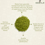 Thumbnail for Kokila Henna Mehandi Powder