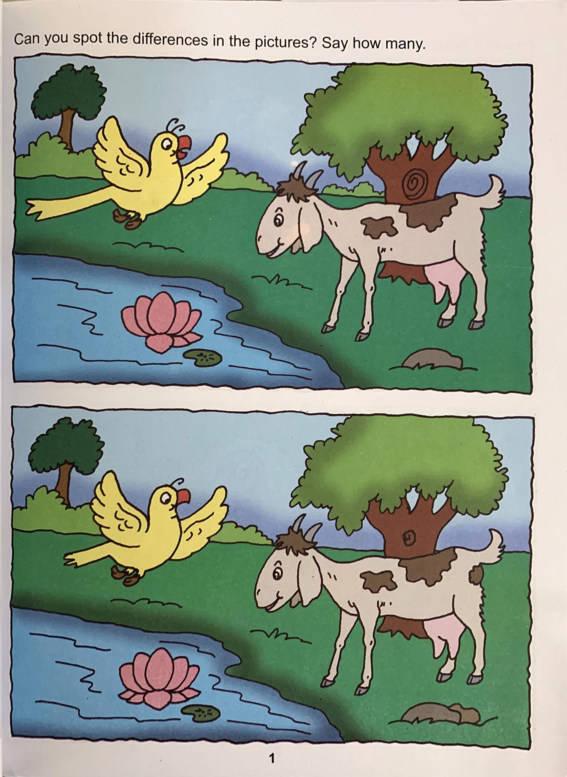 My Book Of Find The Differences. - Dista