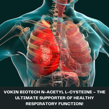 Vokin Biotech N-Acetyl L-Cysteine (NAC) – Supports Healthy Respiratory Function- 500mg – 90 Capsules