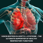 Thumbnail for Vokin Biotech N-Acetyl L-Cysteine (NAC) – Supports Healthy Respiratory Function- 500mg – 90 Capsules