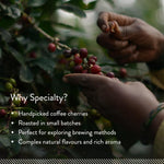 Thumbnail for Blue Tokai Coffee Roasters Attikan Estate - Distacart