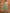 Aks Ethnic Motifs Printed Gotta Patti Pure Cotton Anarkali Kurta - Distacart
