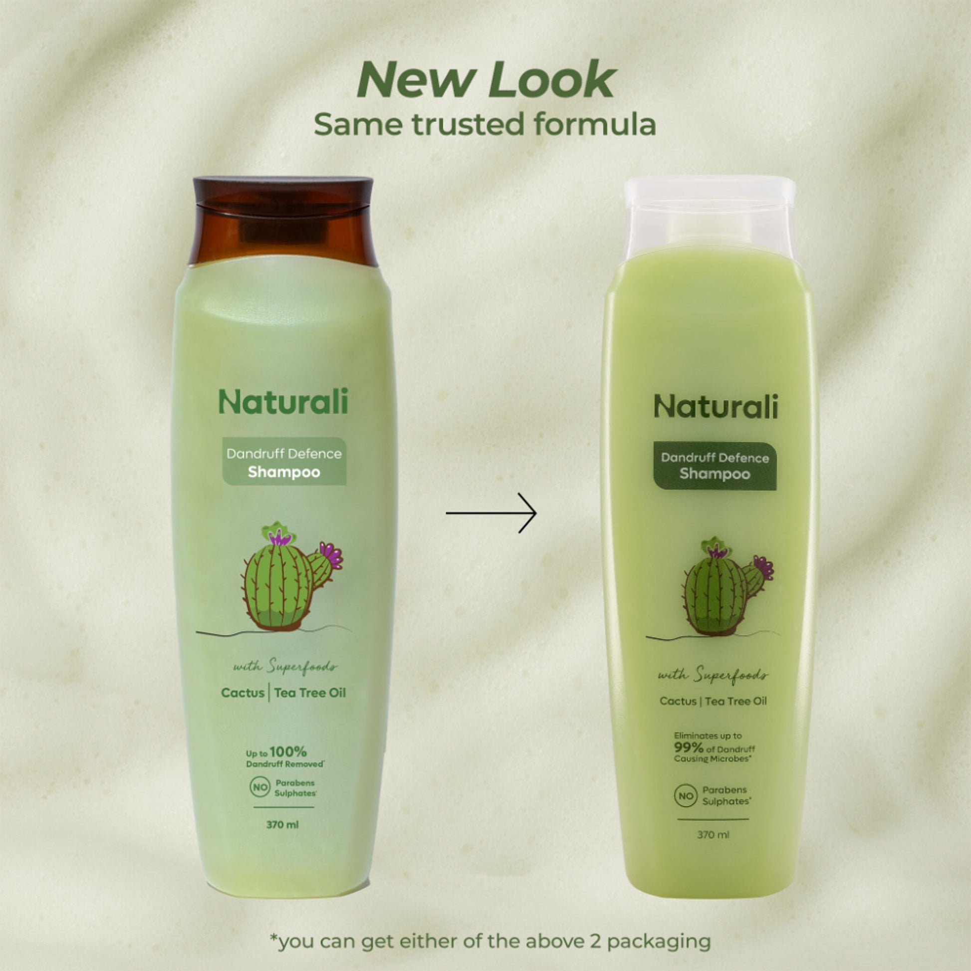Naturali Dandruff Defence Shampoo with Tea Tree Oil & Cactus Extracts - Distacart