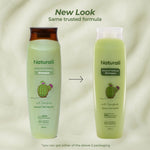Thumbnail for Naturali Dandruff Defence Shampoo with Tea Tree Oil & Cactus Extracts