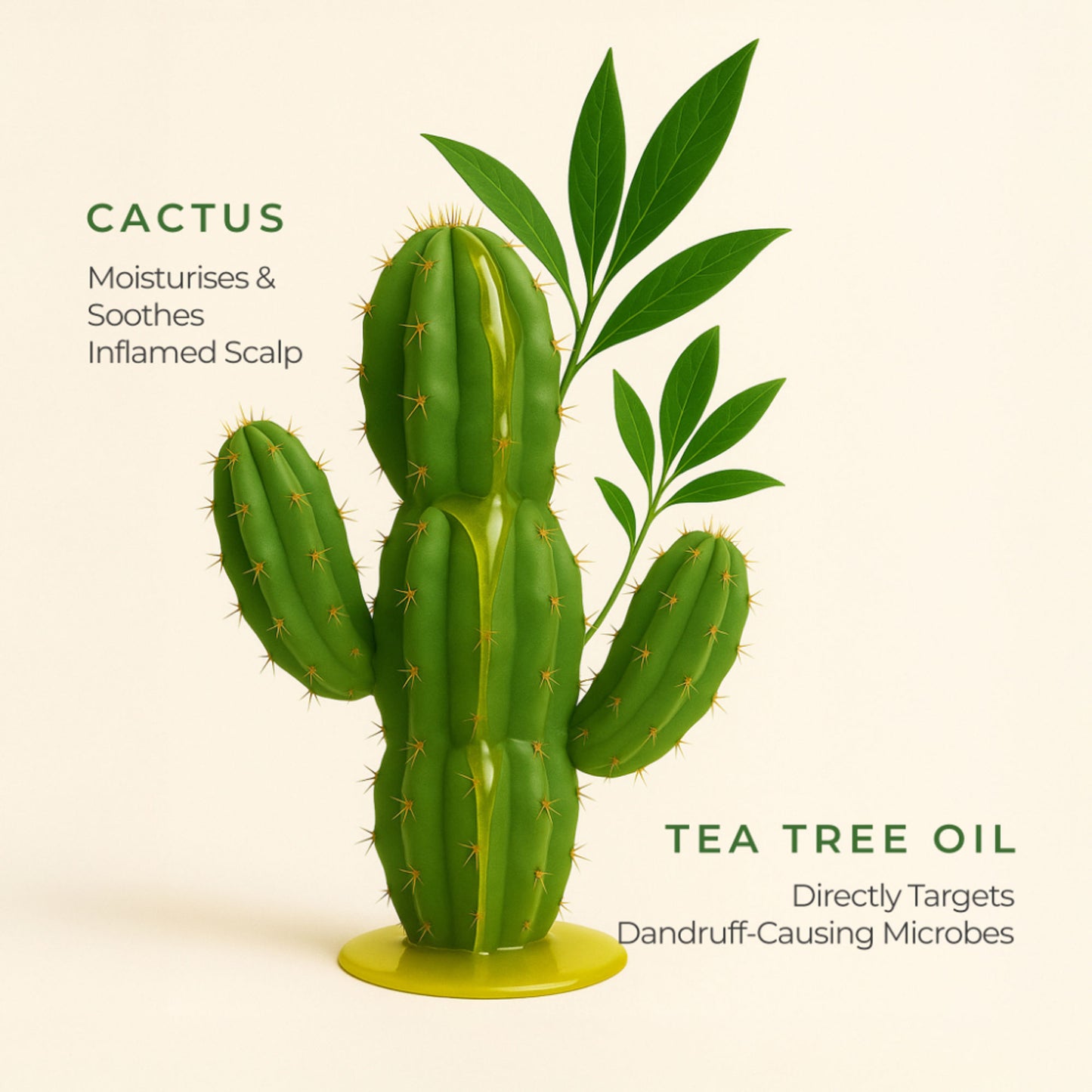 Naturali Dandruff Defence Shampoo with Tea Tree Oil & Cactus Extracts - Distacart