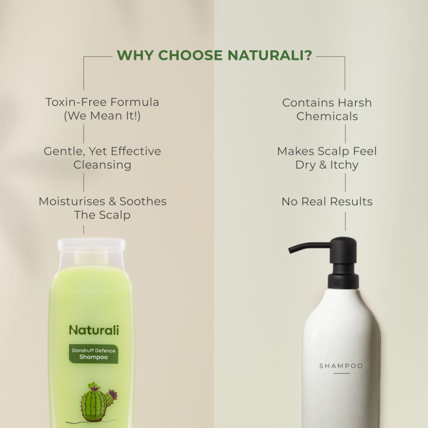 Naturali Dandruff Defence Shampoo with Tea Tree Oil & Cactus Extracts - Distacart
