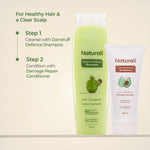 Thumbnail for Naturali Dandruff Defence Shampoo with Tea Tree Oil & Cactus Extracts