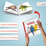 Thumbnail for Pocket Board Book Set of ABC, Numbers, Fruits, Vegetables, Wild Animals, Birds - Kids educational board book, Preschool learning books, Preschool Kids Books Children | books