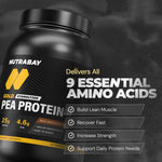 Thumbnail for NUTRABAY Gold 100% Pea Protein Powder - , Rich Chocolate Crème | 25g Protein, 4.6g BCAA, 5g Fiber | Complete Amino Profile | Tastiest & Smoothest Vegan, Plant Protein | Muscle Gain & Fast Recovery
