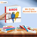 Thumbnail for Pocket Board Book Set of ABC, Numbers, Fruits, Vegetables, Wild Animals, Birds - Kids educational board book, Preschool learning books, Preschool Kids Books Children | books