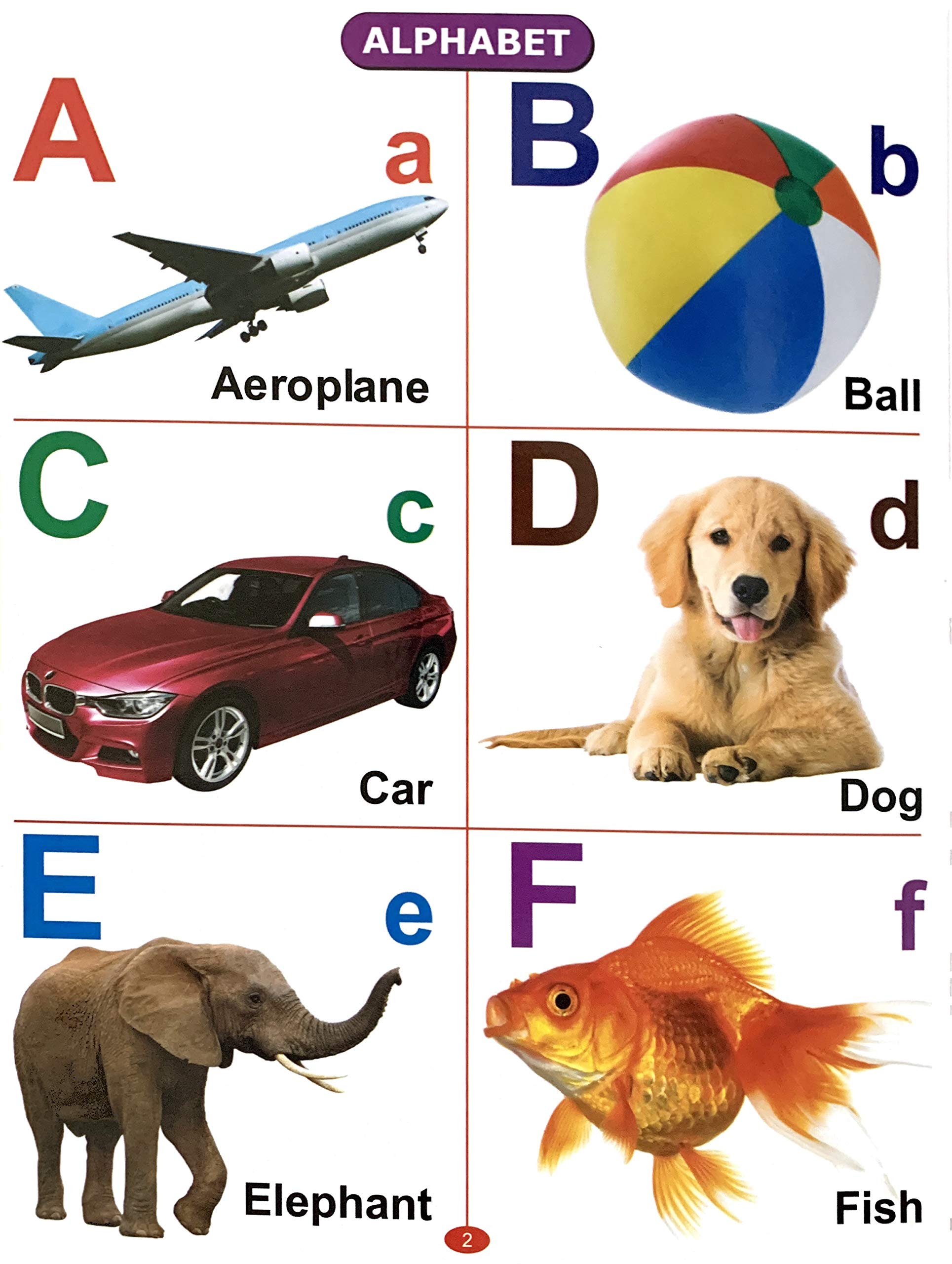 All In One Picture Book (For Ages 1-4) - Dista