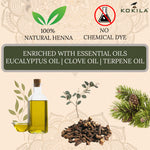 Thumbnail for Kokila Bridal Special Premium Gold Mehendi Cones