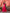 InWeave Fuchsia Strappy Kurta Set Green Patola Dupatta