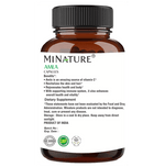 Thumbnail for Minature Amla Capsule