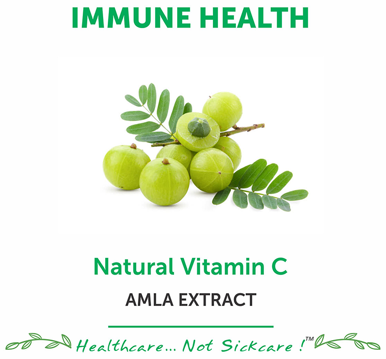 bliss welness immune health natural vitamin c amla extract veg tablet