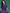 Sangria Ethnic Motifs Print Gotta Patti Pure Cotton Anarkali Kurta