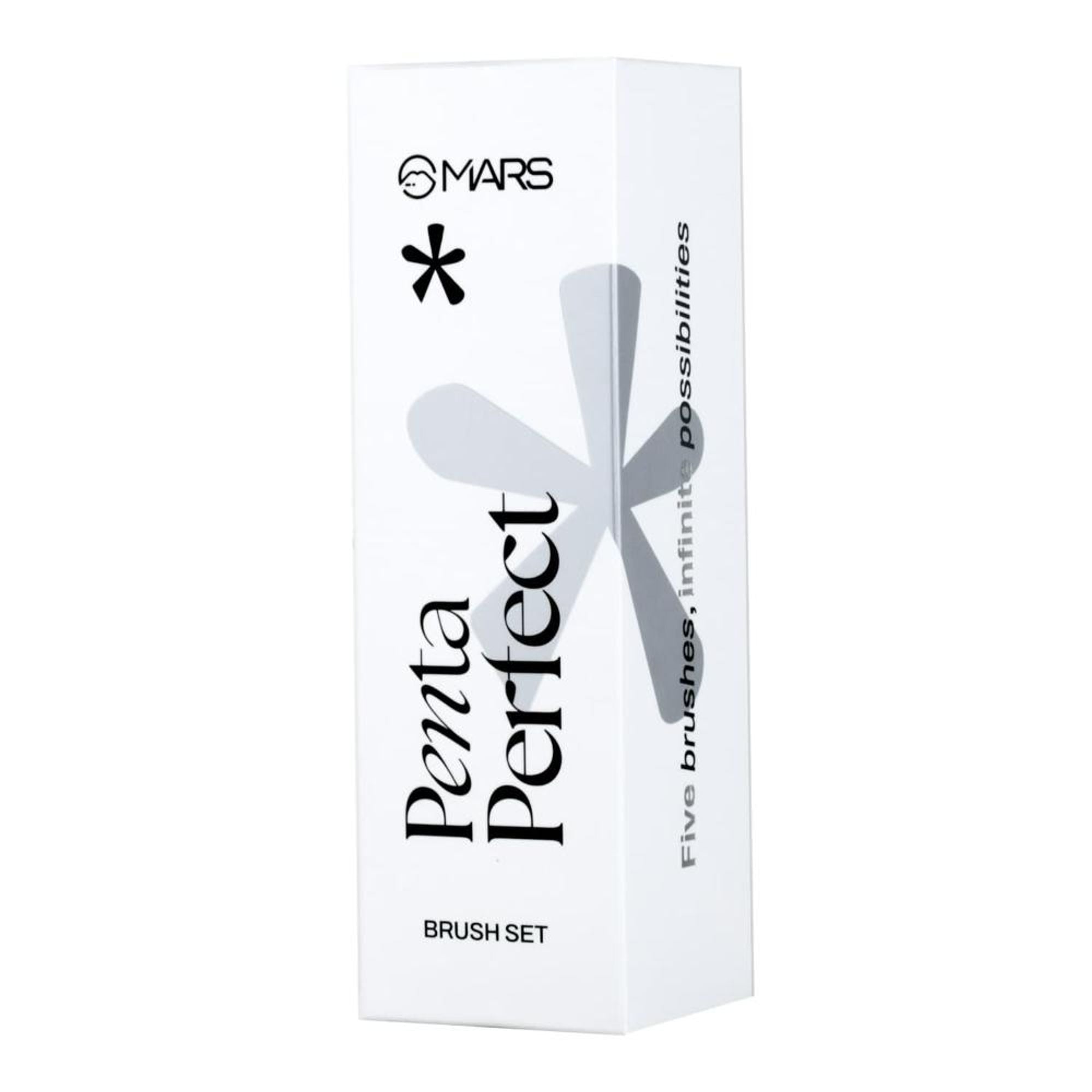 MARS Cosmetics Penta Perfect Brush - Set of 5 - Distacart