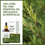 Thumbnail for She Essentials Tea Tree Essential Oil For Active Acne & Pimples, Blemishes & Flakes, Organic & Pure