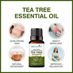 Thumbnail for She Essentials Rosemary Essential Oil, Tea Tree & Almond Carrier Oil - Hair Growth & Acne